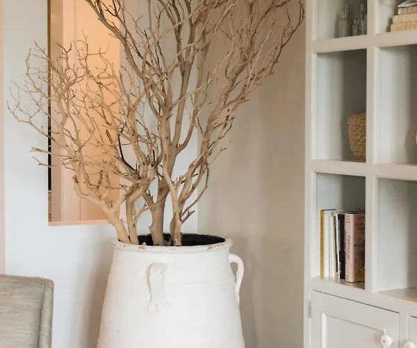 Hotel Oyster Bay Boutique (adults Only) Pensacola